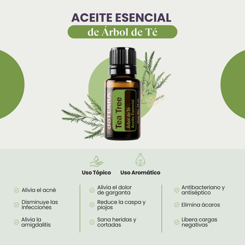 Aceite Esencial de Tea Tree (Árbol de Té)