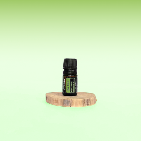 Aceite Esencial de Tea Tree (Árbol de Té)