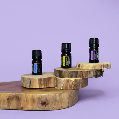 Vital Wellness Market