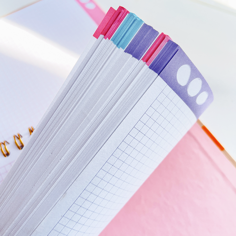 Cuaderno Grande 5 Materias Paraíso