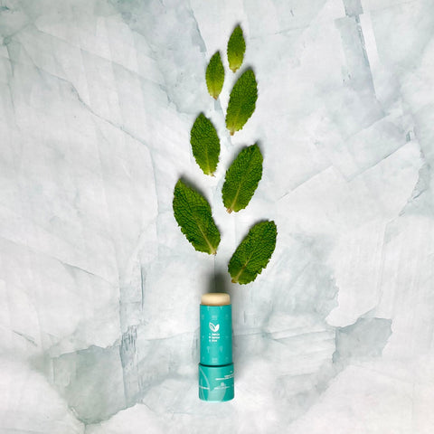 Bálsamo de Labios Menta Hooli