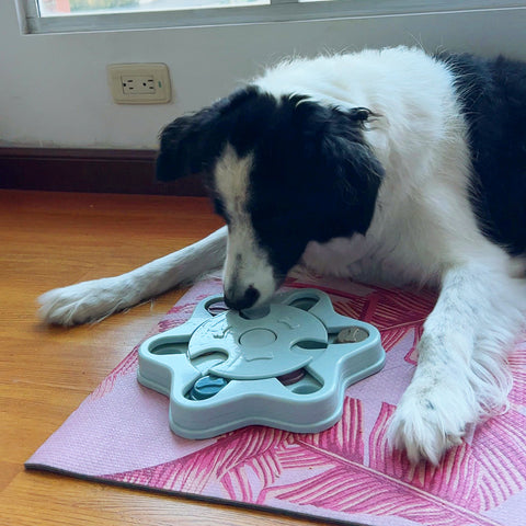 Juguete Interactivo Dispensador para Perros Huella
