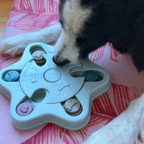 Juguete Interactivo Dispensador para Perros