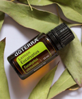 Aceite Esencial de Eucalipto Limón 15ml