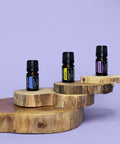 Kit de Aceites Esenciales 5 ml